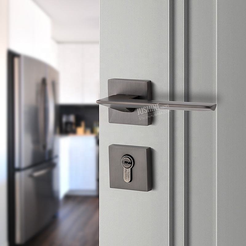 lever handle for modern interiors