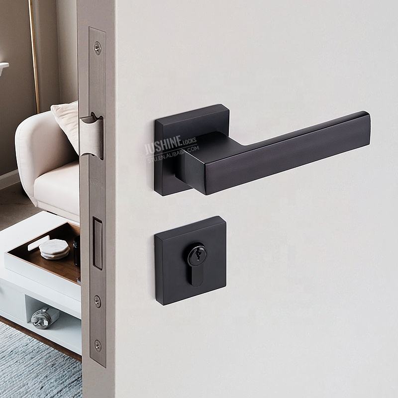 lever handle for modern interiors