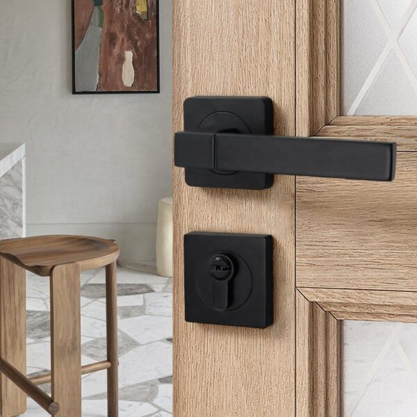 lever door handle for toilet door