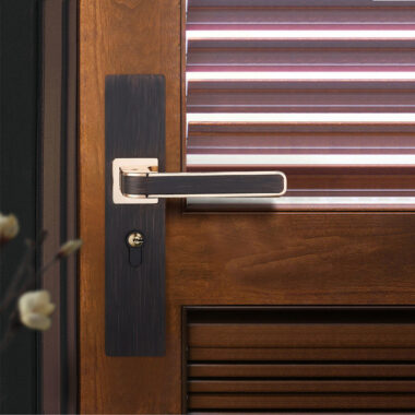 lever door handle with keys