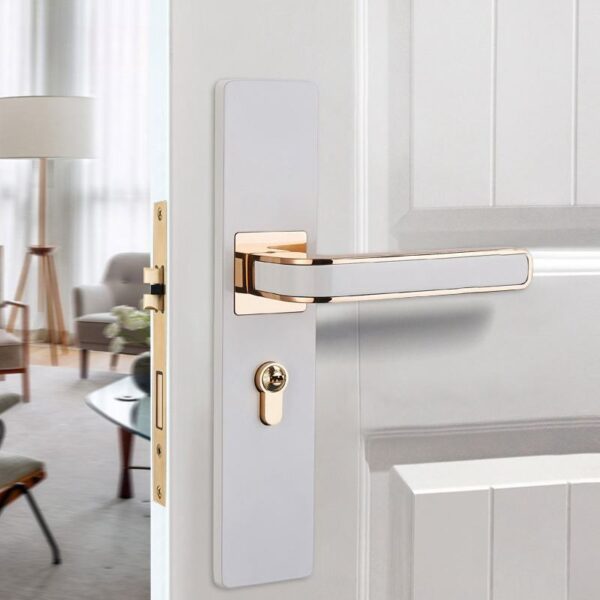 lever door handle with keys